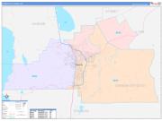 Carson City County, NV Wall Map Color Cast Style 2022